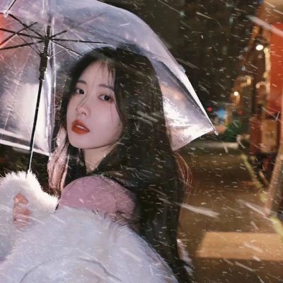 大小姐和看门犬